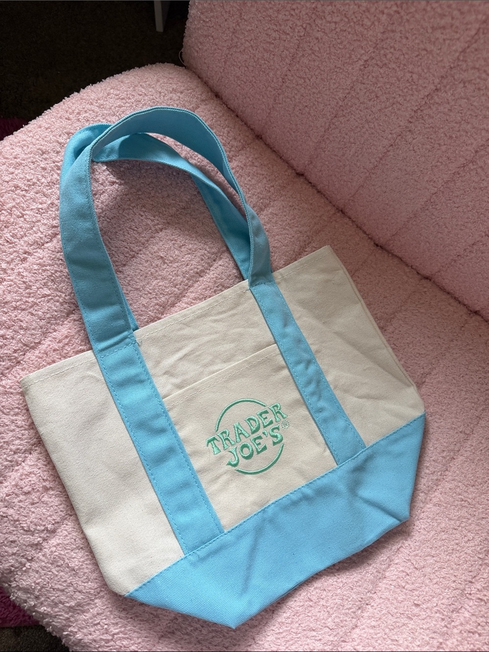 Trader Joe’s Canvas Tote Bag in Cream and Light Blue